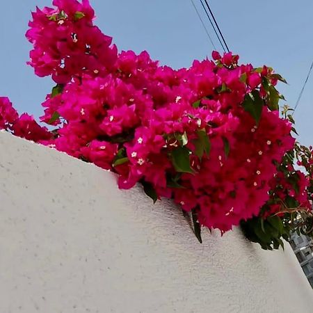 Ona Apartament Sarandë エクステリア 写真