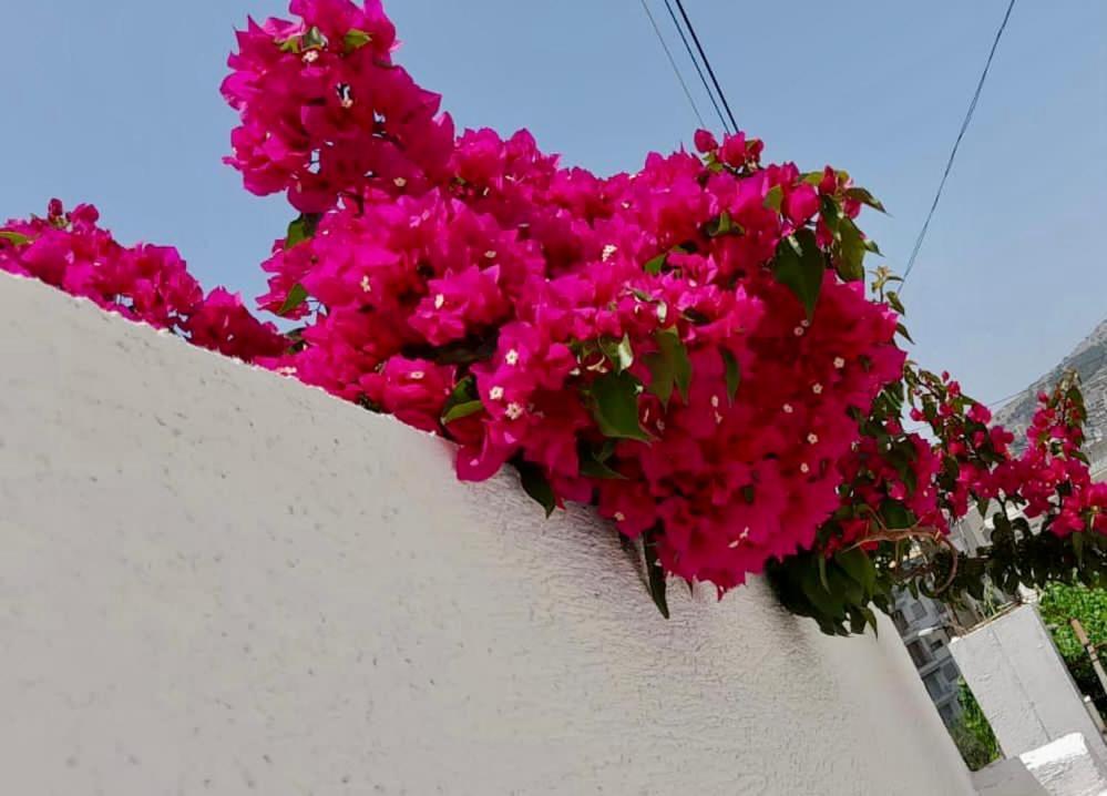 Ona Apartament Sarandë エクステリア 写真